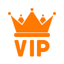 خدمات VIP